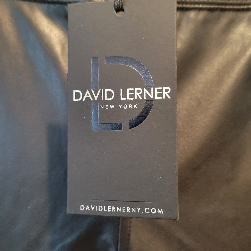 David Lerner Gemma Midrise Skimmer  with Piping
